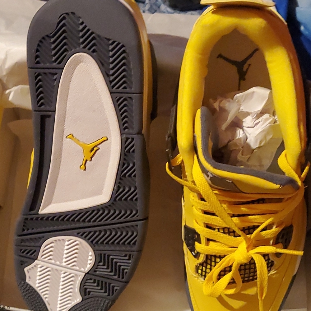 Air Jordan Retro 4 Electric Mother